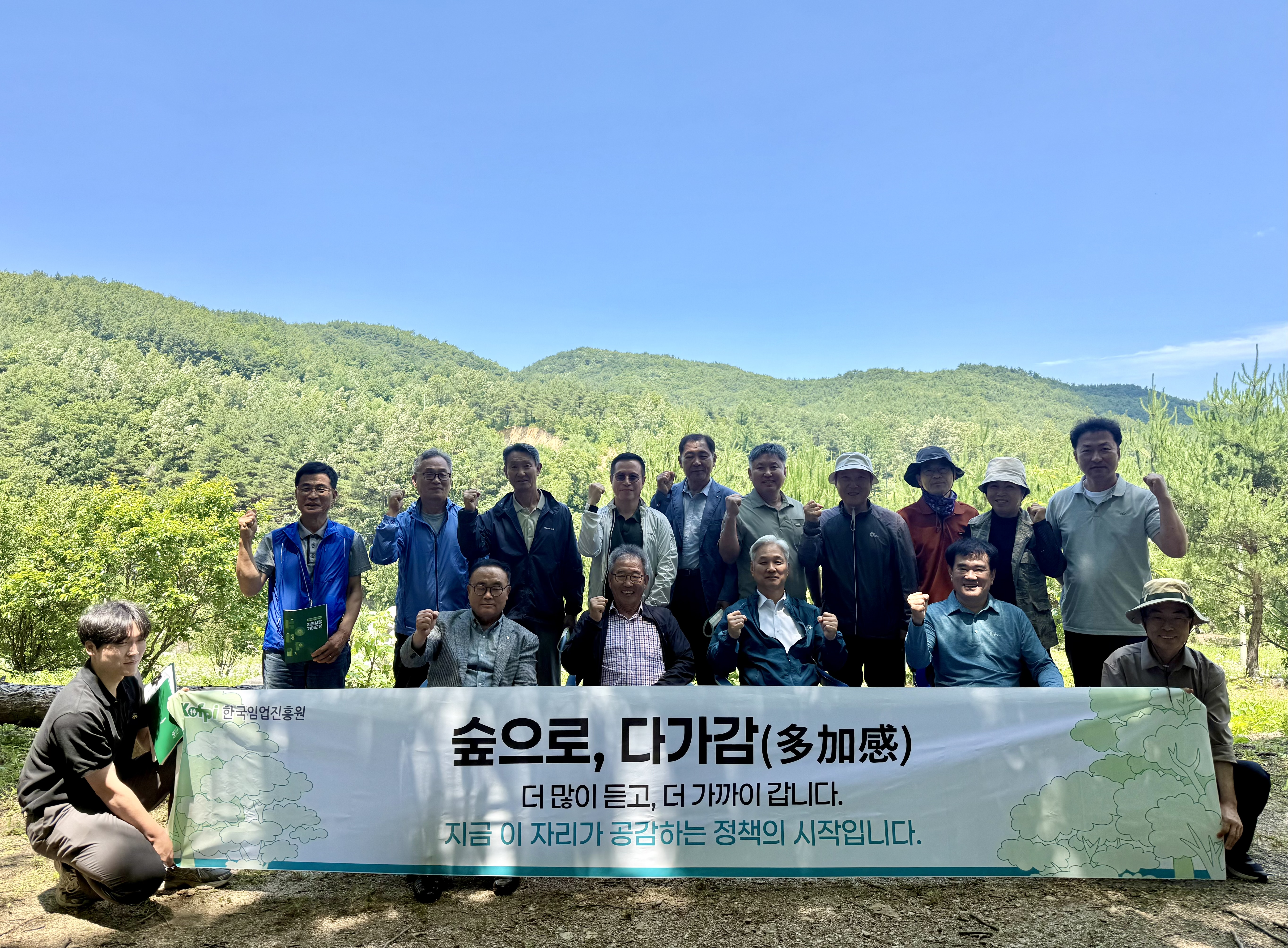 제10차 숲으로 다가감... 이미지